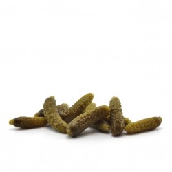 Pepinillos Medianos Sabor Anchoa